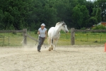 DSCF3340.JPG